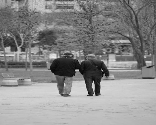 senior couple walking in the park together